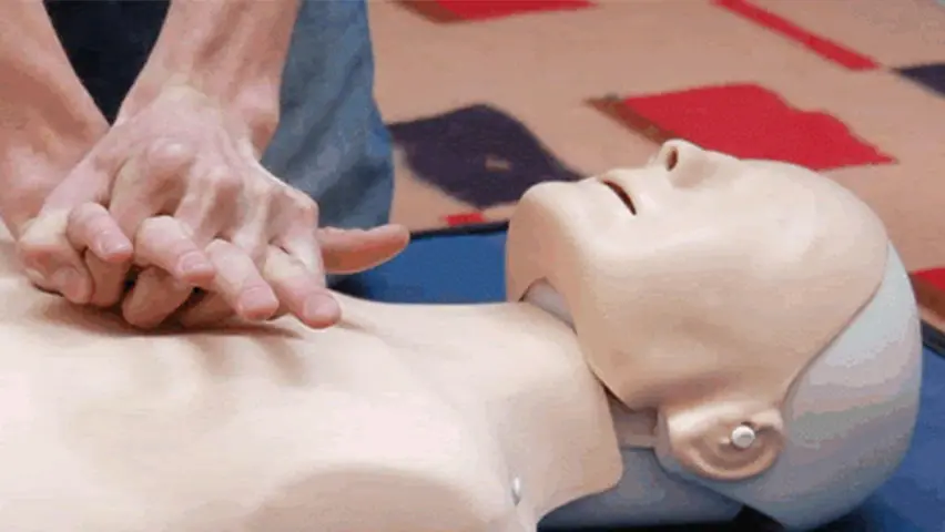 Οι συμμετέχοντες στο online πιστοποιημένο σεμινάριο: Πρώτες Βοήθειες λαμβάνουν πολύτιμες γνώσεις και δεξιότητες σχετικ. Μαθαίνουν πώς να αντιδρούν με ψυχραιμία και αποτελεσματικότητα σε επείγουσες καταστάσεις, όπως τραυματισμούς, λιποθυμίες ή καρδιακές ανακοπές, μέχρι να φτάσει εξειδικευμένη βοήθεια.